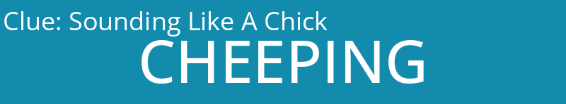 Sounding Like A Chick