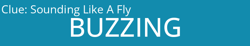 Sounding Like A Fly