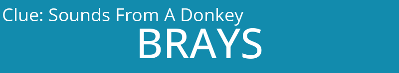 Sounds From A Donkey