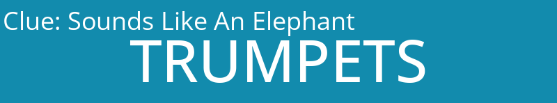 Sounds Like An Elephant
