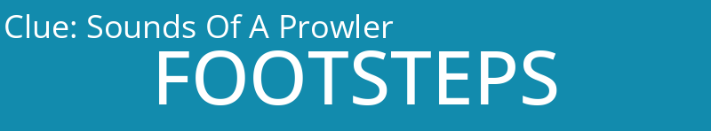 Sounds Of A Prowler