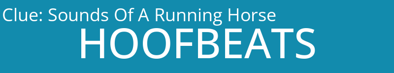 Sounds Of A Running Horse