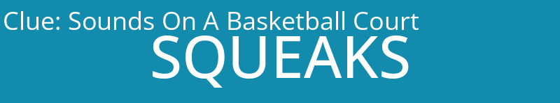 Sounds On A Basketball Court