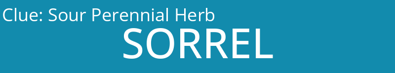 Sour Perennial Herb