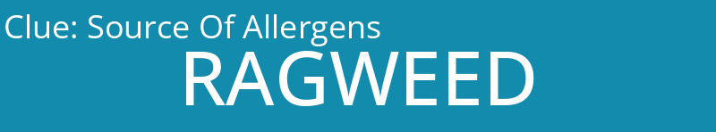 Source Of Allergens