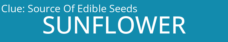 Source Of Edible Seeds