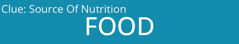 Source Of Nutrition