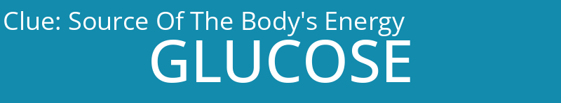 Source Of The Body's Energy