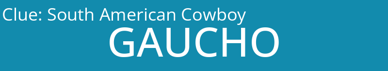 South American Cowboy