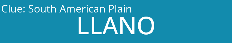 South American Plain