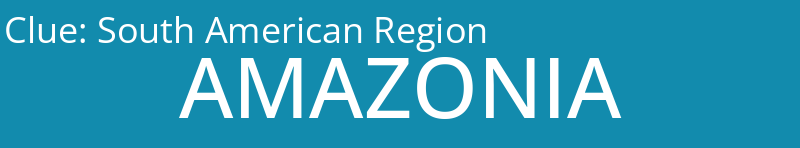 South American Region