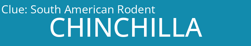 South American Rodent
