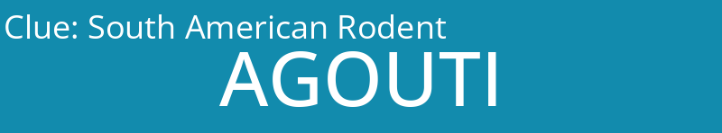South American Rodent