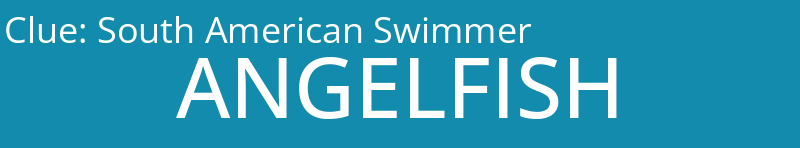 South American Swimmer