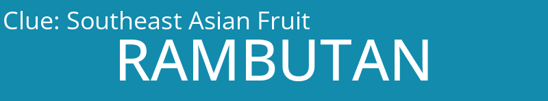 Southeast Asian Fruit