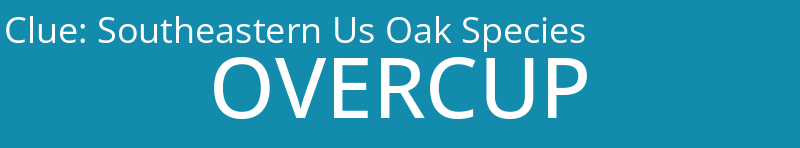 Southeastern Us Oak Species