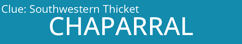 Southwestern Thicket