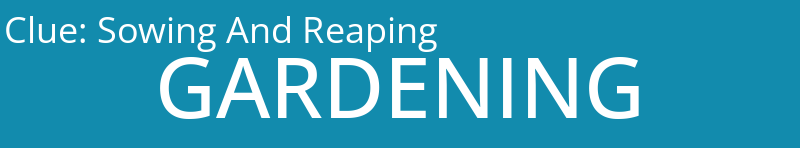 Sowing And Reaping