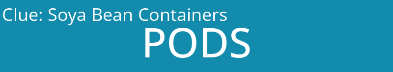 Soya Bean Containers