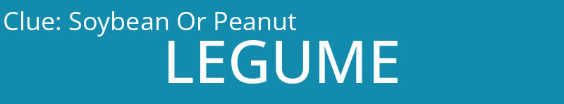 Soybean Or Peanut
