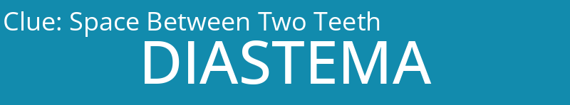 Space Between Two Teeth