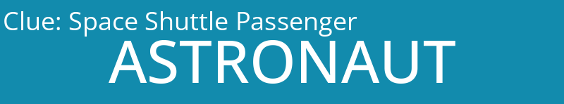 Space Shuttle Passenger