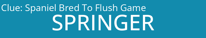 Spaniel Bred To Flush Game