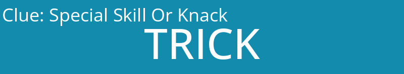 Special Skill Or Knack