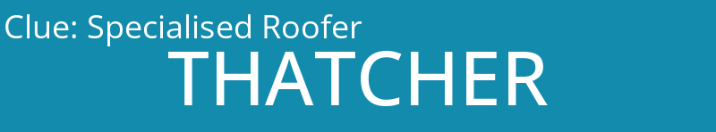 Specialised Roofer