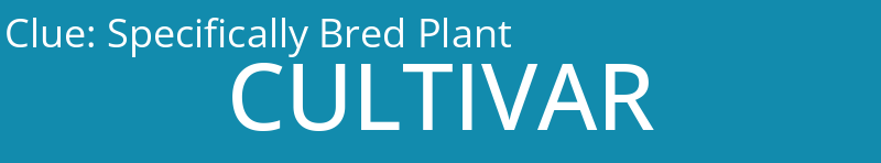 Specifically Bred Plant