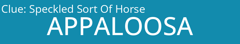 Speckled Sort Of Horse