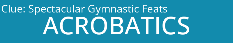 Spectacular Gymnastic Feats