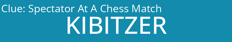 Spectator At A Chess Match