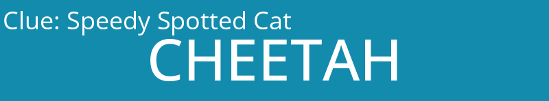 Speedy Spotted Cat