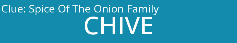 Spice Of The Onion Family 