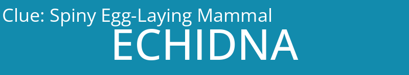 Spiny Egg-Laying Mammal