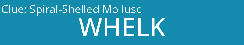 Spiral-Shelled Mollusc