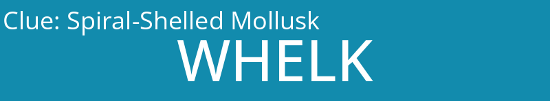 Spiral-Shelled Mollusk