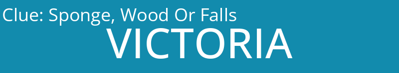 Sponge, Wood Or Falls