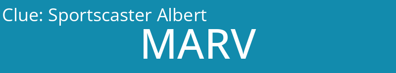Sportscaster Albert