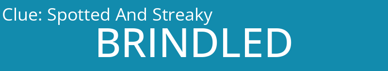 Spotted And Streaky