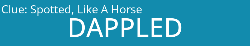 Spotted, Like A Horse