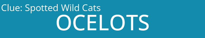 Spotted Wild Cats
