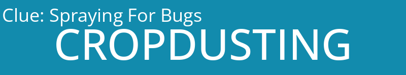 Spraying For Bugs