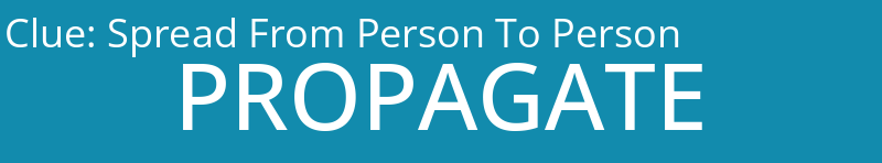Spread From Person To Person