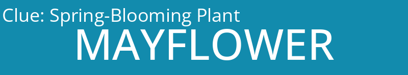 Spring-Blooming Plant