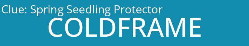 Spring Seedling Protector