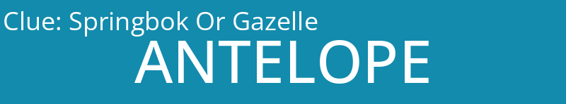 Springbok Or Gazelle