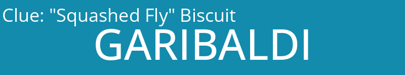 "Squashed Fly" Biscuit