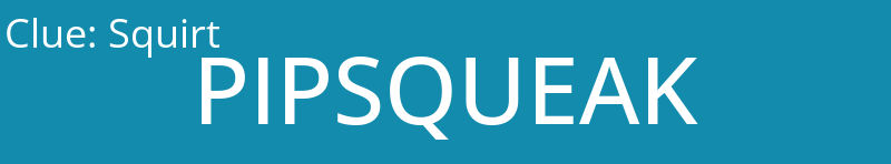 Squirt